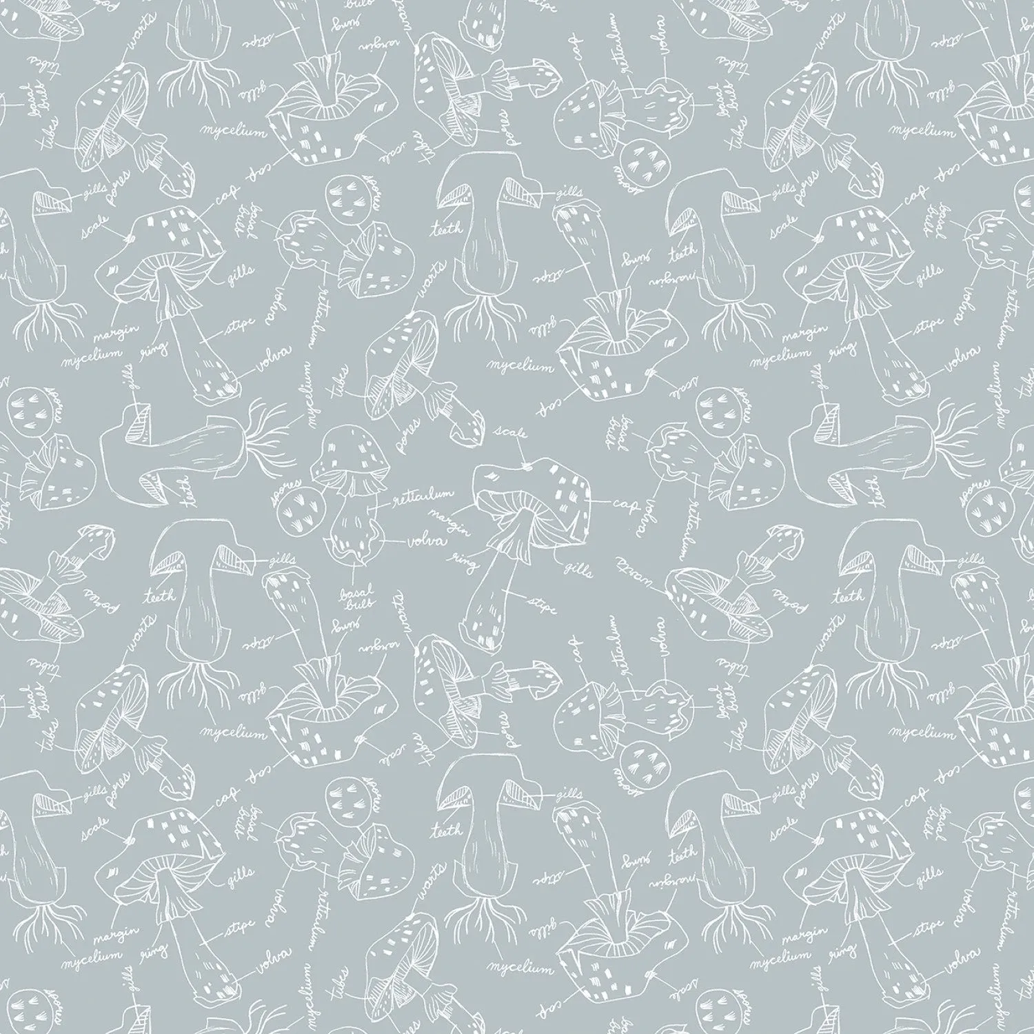 Mushroom City, Mushroom Anatomy in Quarry