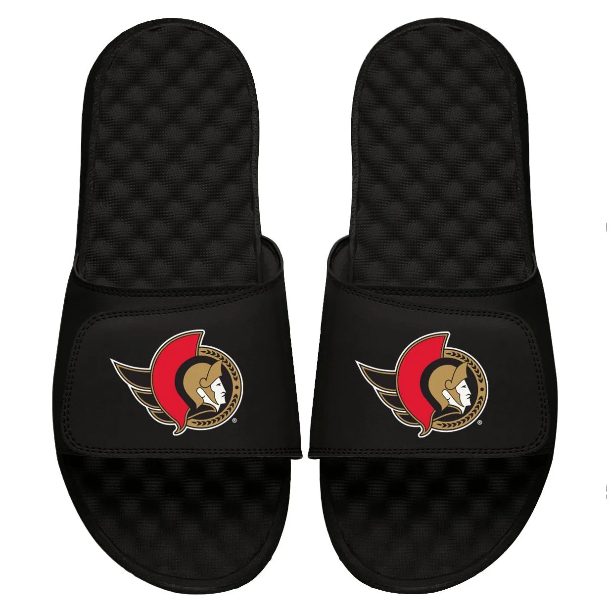 Ottawa Senators Primary