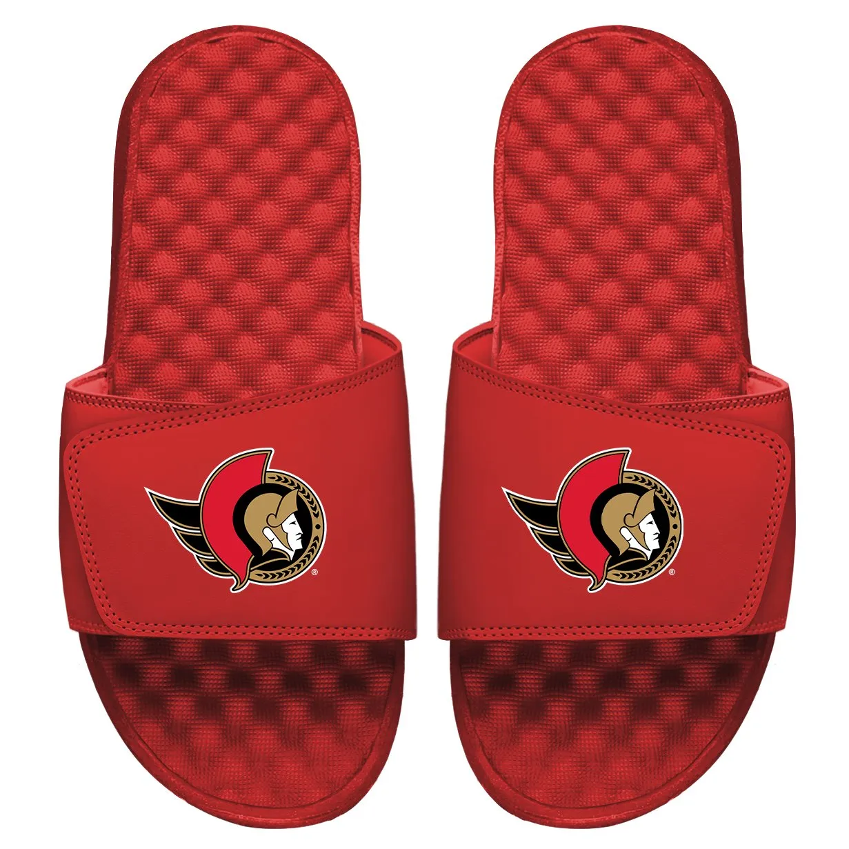 Ottawa Senators Primary